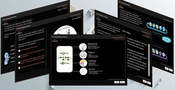 Mastering Process Mapping Facilitation