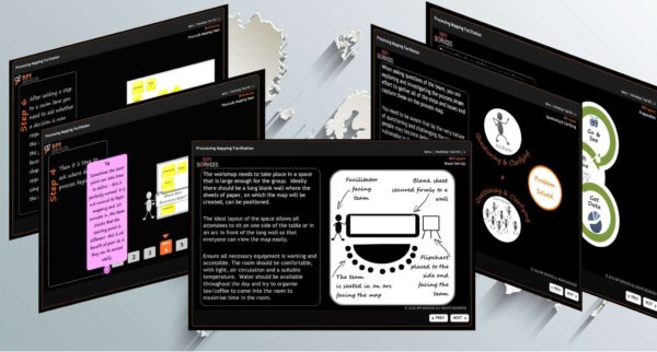 Mastering Process Mapping Facilitation