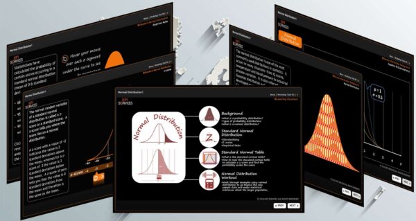 Process Mapping & Statistics Level 1 Bundle